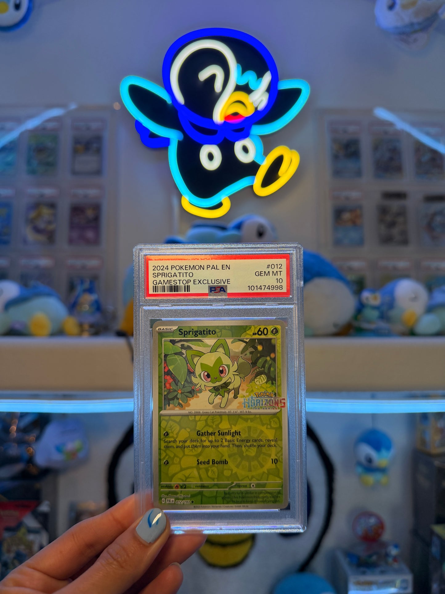 PSA 10 Sprigatito 012/193 | Paldea Evolved | GameStop Exclusive Promo 2024